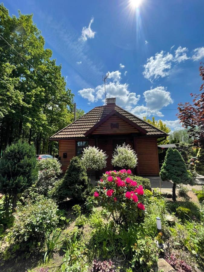 Zarzecze 27A Villa เอากุสตูฟ ภายนอก รูปภาพ